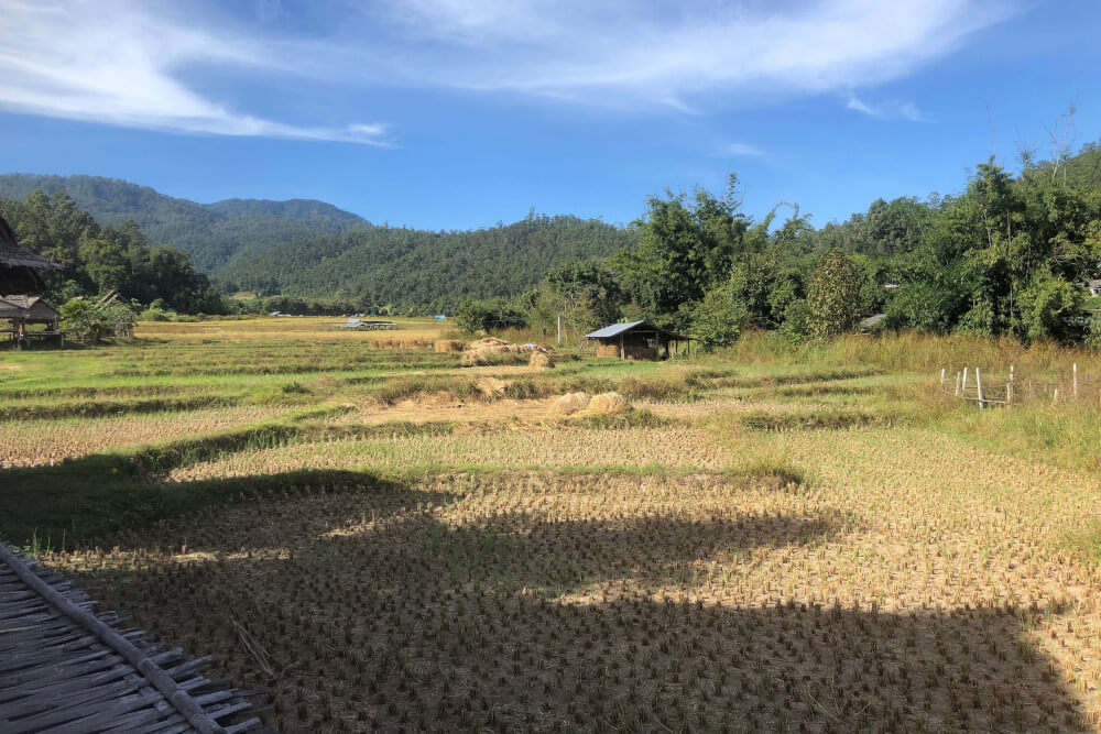 pai bamboo bridge