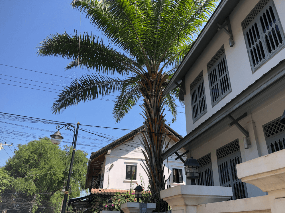 luang prabang