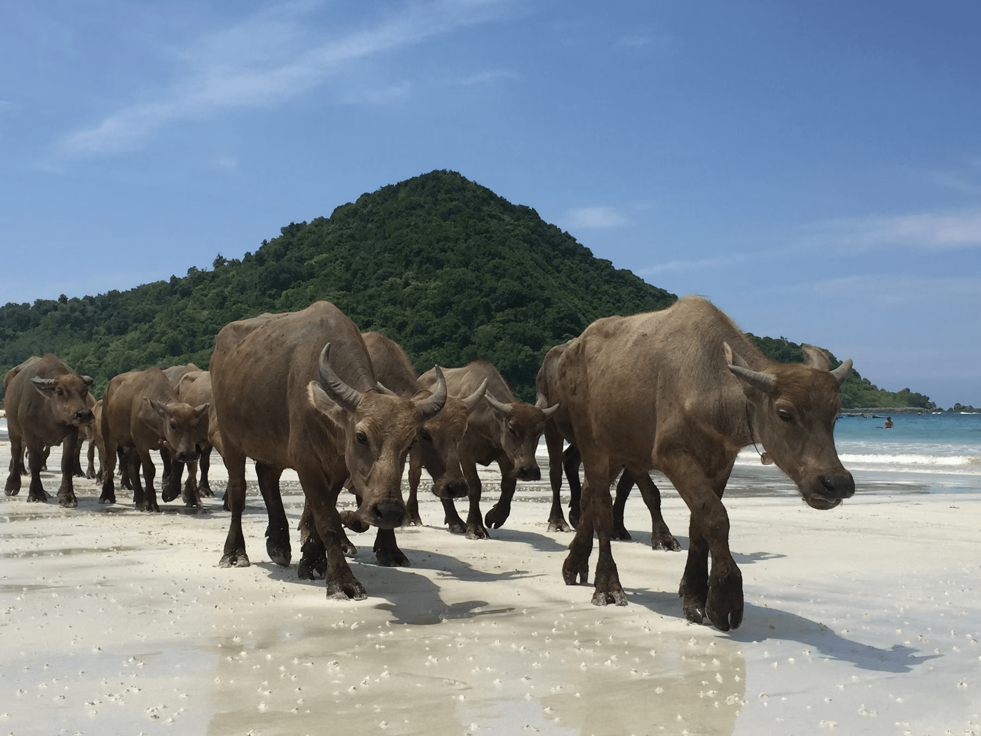 Visiting Gili Trawangan – Everything you MUST know in 2023