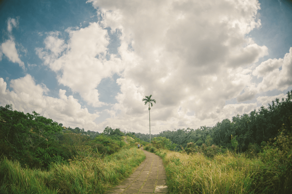 campuhan ridge walk