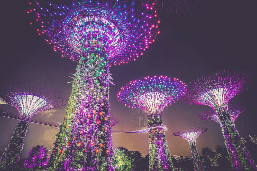 Gardens By The Bay light show