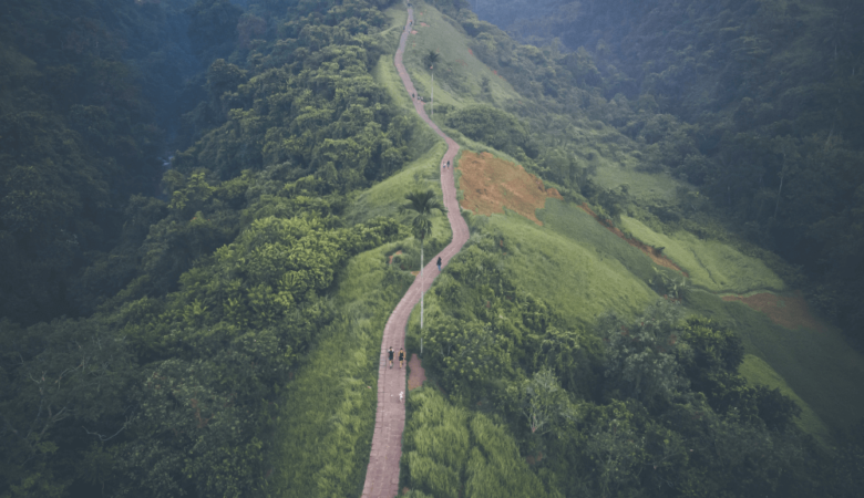 Campuhan Ridge walk