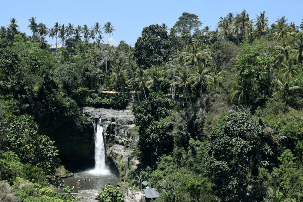 Waterfall in Ubud